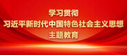 欧美日逼视频免费观看学习贯彻习近平新时代中国特色社会主义思想主题教育_fororder_ad-371X160(2)